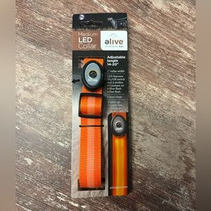 elive | NWT Bright Orange LED Pet Collar Medium 14-20” One-Inch Width